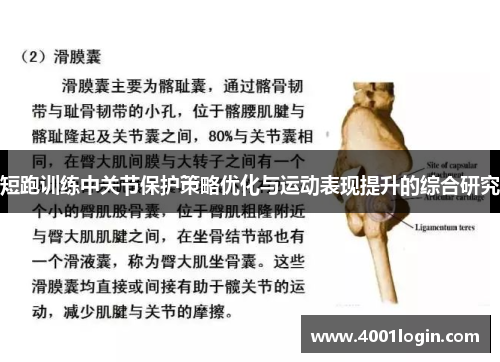 短跑训练中关节保护策略优化与运动表现提升的综合研究