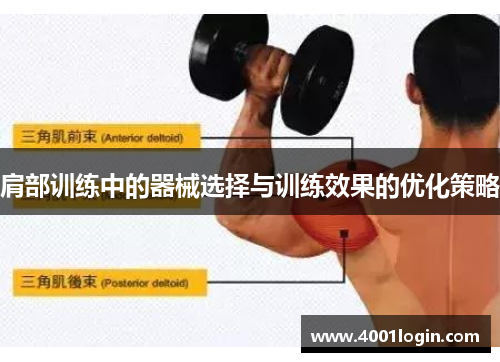 肩部训练中的器械选择与训练效果的优化策略